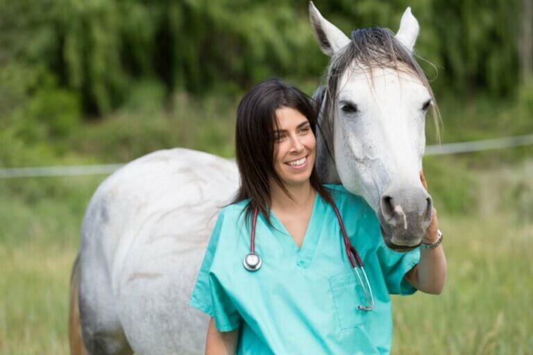 Les déficiences immunitaires chez les chevaux