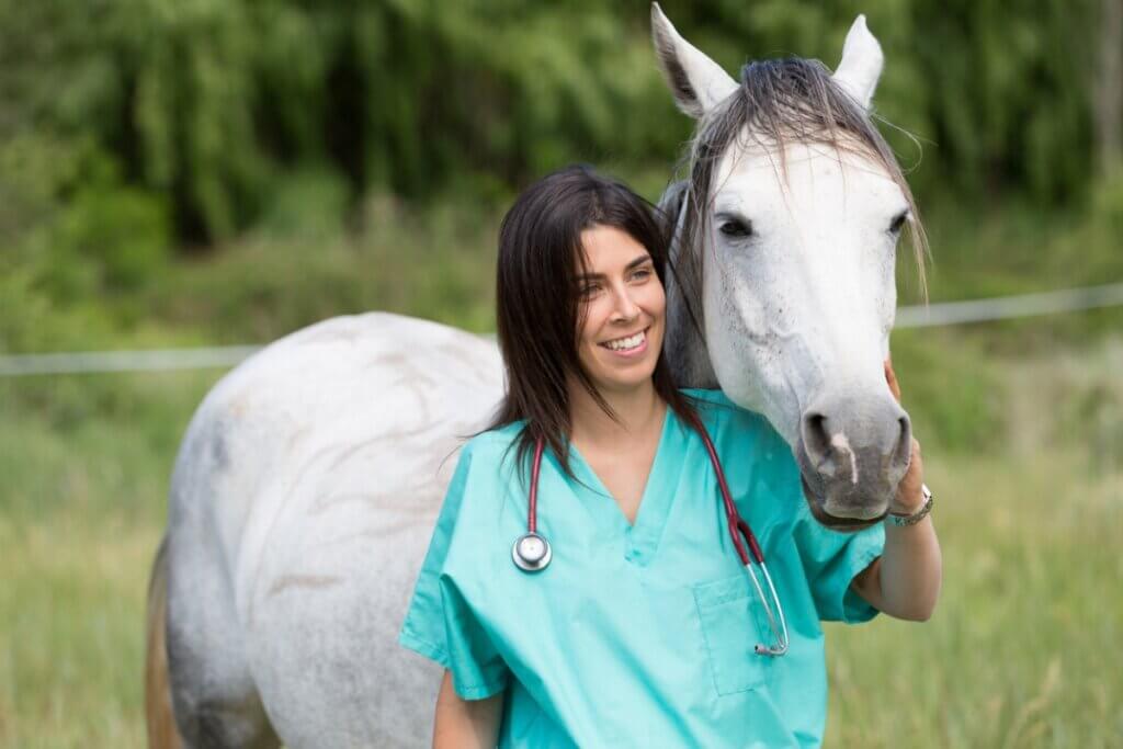 Les déficiences immunitaires chez les chevaux