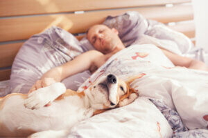 Est-il sain de dormir avec son chien ?