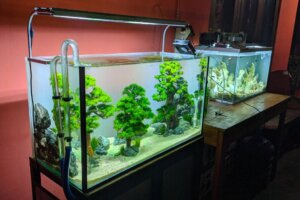 Mon aquarium perd de l'eau : pourquoi ?