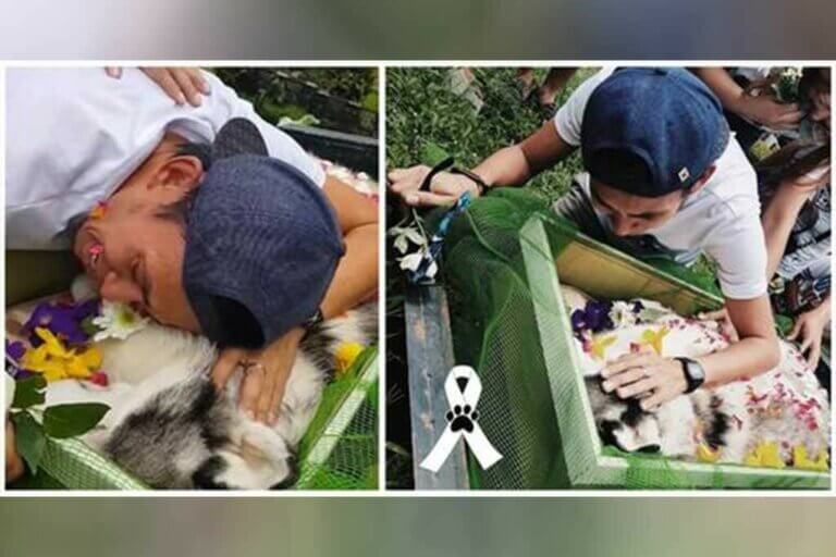 Il dit adieu à son chien bien-aimé après un long combat pour le sauver