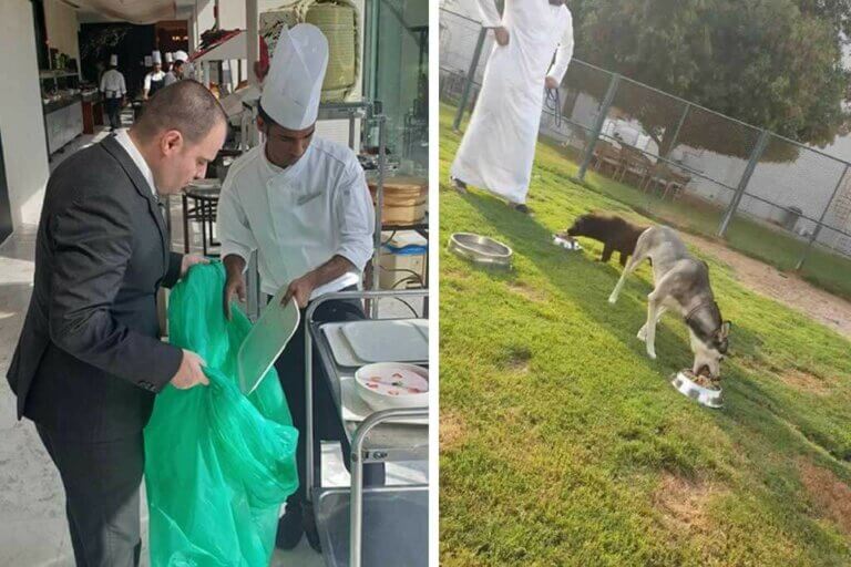 Un hôtel de luxe d'Abu Dhabi fait don de restes de nourriture à des refuges pour animaux