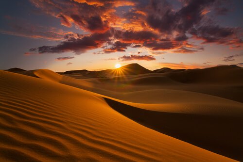 Deserto Del Sahara Il Piu Grande Del Pianeta My Animals