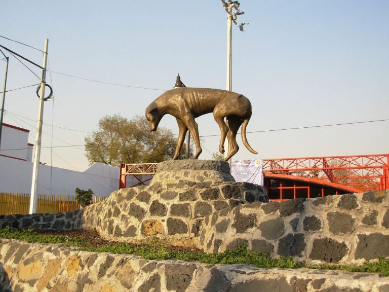 メキシコシティの野良犬の銅像