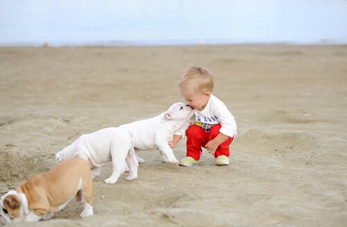 砂浜で子どもと遊ぶ犬