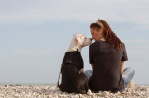 海辺で飼い主とキスする犬