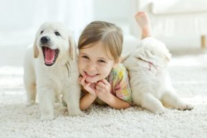 白い子犬と女の子