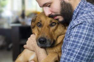 愛犬を癌から守るためにできること