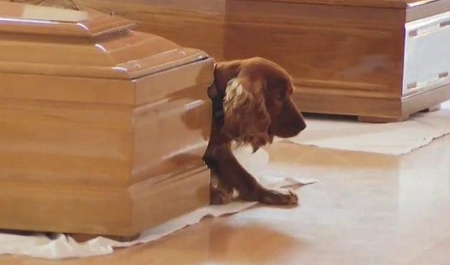 棺に寄り添う犬　イタリア地震
