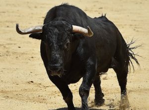 実は詳しく知られていない スペインの闘牛について