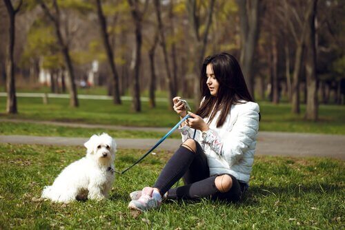 公園で座る犬と飼い主