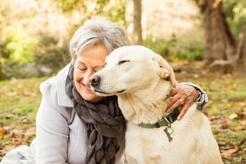 ペット の 認知機能障害 ：兆候、症状、お世話の方法　ペットと高齢者の女性
