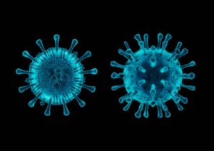 イヌコロナウイルスについて知っておくべき５つのこと