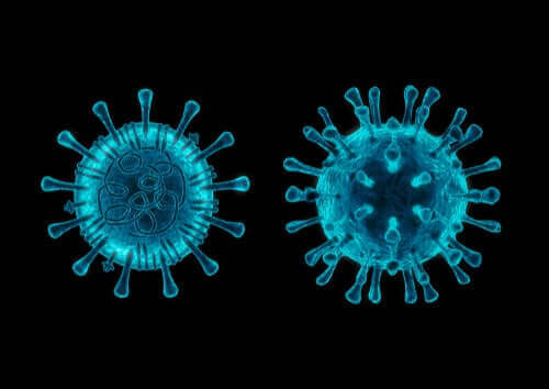 イヌコロナウイルスについて知っておくべき５つのこと