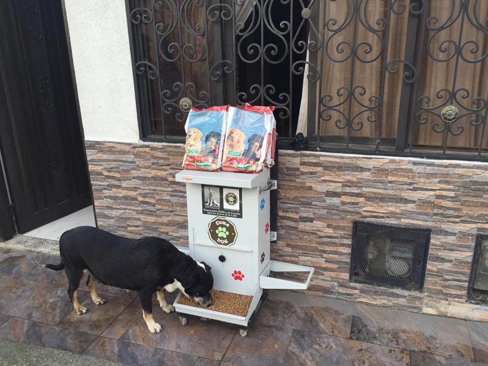 gatehund spiser med comedog