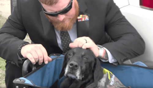 Marinen gir tjenestehunden Cena et vakkert farvel