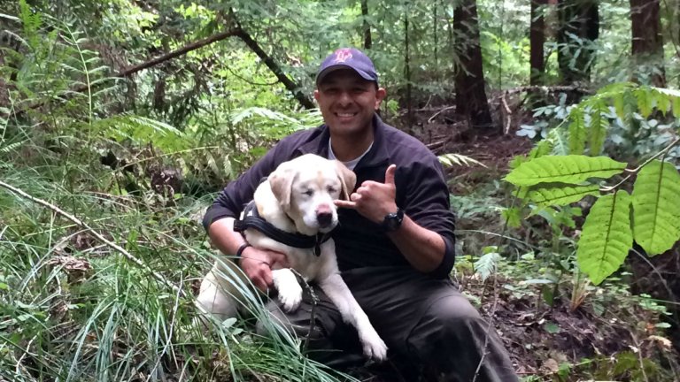 Blind Labrador Retriever overlever i skogen i en hel uke