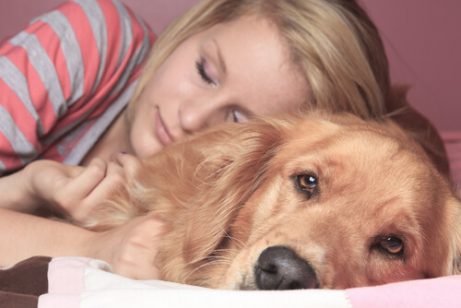Fordeler og ulemper ved å sove sammen med kjæledyret ditt