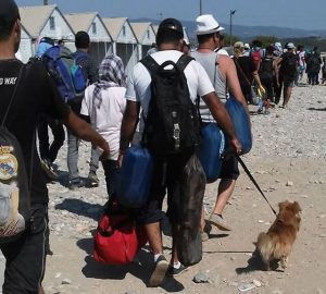 Syriske flyktninger med en hund