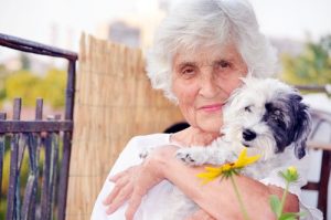 Eldre kvinne og hunden hennes