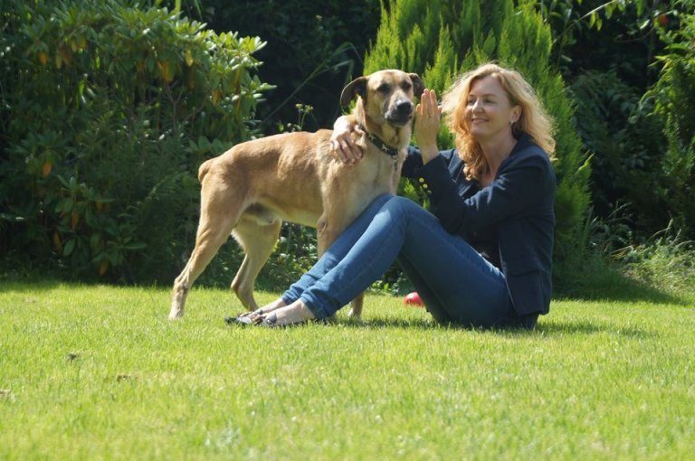 Løshund adoptert av flyvertinne i Buenos Aires: Olivia og Rubio