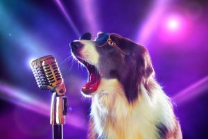 8 sanger du ikke visste at handlet om hunder