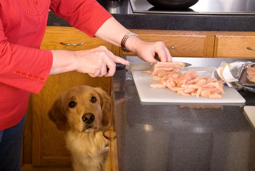 Dame kutter opp kjøtt for hunden sin