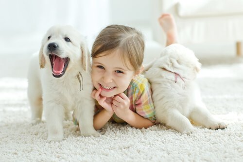 Helsefordeler for barn som har kjæledyr