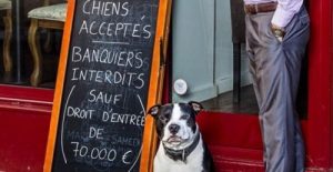 En restaurant i Paris tillater hunder, men nekter bankfolk adgang