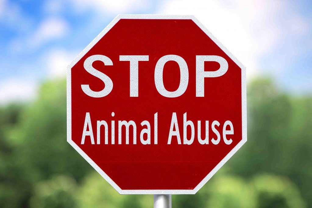 Skilt der det står: Stopp dyremishandling