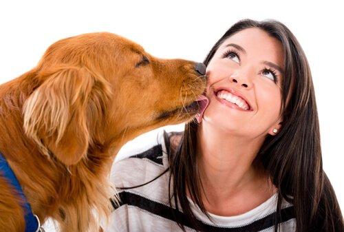 7 tegn på at hunden din er glad i deg