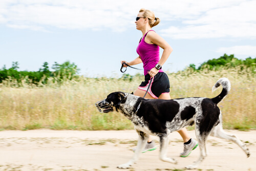 Kvinne som løper med hunden, er en av de morsomme aktivitetene til hunden din