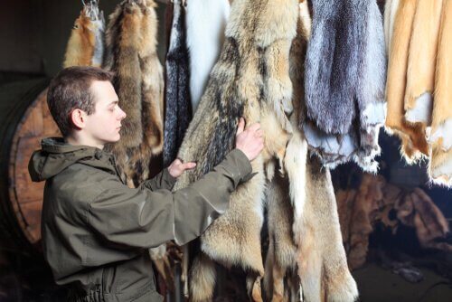 Mann ser på et lager av pels