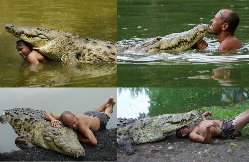 Det overraskende vennskapet mellom et menneske og en krokodille
