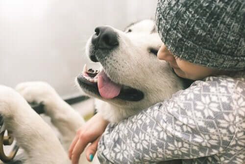 En hunds livskvalitet øker med kjærligheten mottatt.