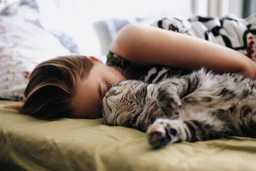 Tips for å sove ved siden av katten din