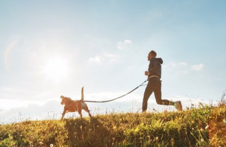 en mann og hund bånder gjennom løping