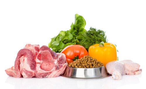 Bør du bytte til økologisk mat til kjæledyret ditt?