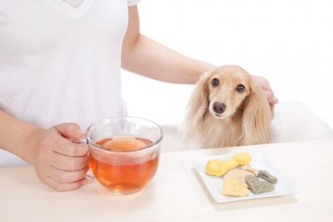 En eier som står ved et bord med en kopp te til hunden sin