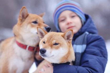 Et barn med to hunder