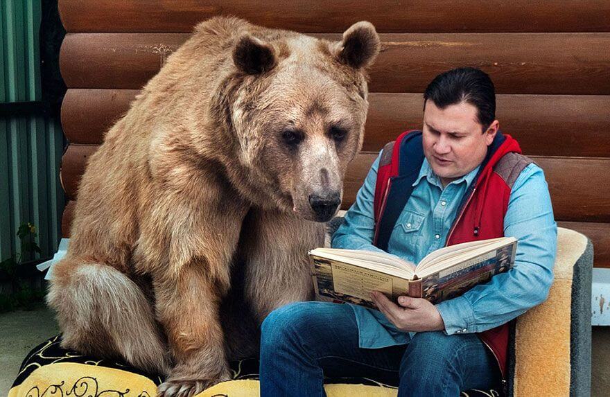 Stepan, kjæledyrbjørnen til et russisk par