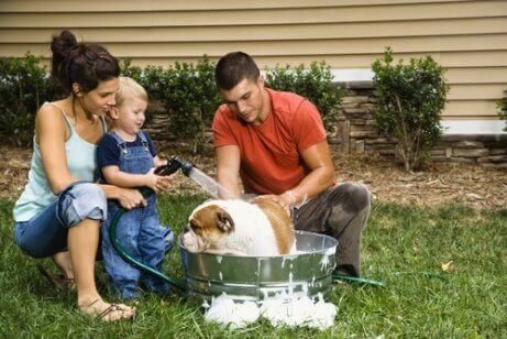 En familie som gir hunden sin et bad