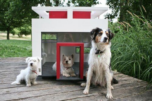 Luksuriøse hundehus til hundretusenvis av kroner