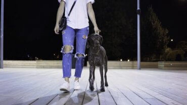 En person som går med en hund