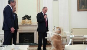Hunden til Vladimir Putin skremmer japanske journalister