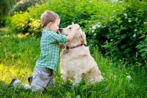 Barnet ditt må forstå hundens kroppsspråk