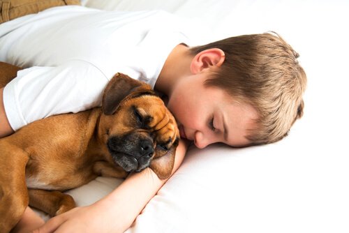 En gutt som sover med en hund i armene