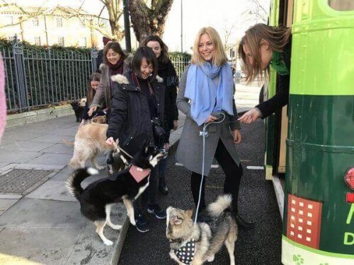 Folk som venter på bussen med hundene sine