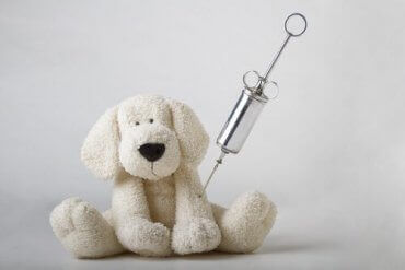 En lekehund med en injeksjonsnål - veterinær immunologi