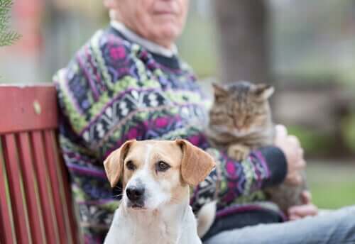 En gammel mann som sitter med en hund og en katt